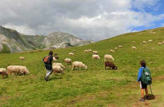 viajar con niños